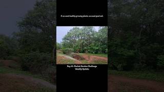 Day 41 Market Garden Challenge Weekly Update organicfarming india farm hyderabad agriculture [upl. by Yemarej]