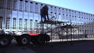 Cattle trailer polishing video [upl. by Aititel278]