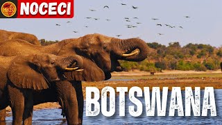 5 Destinos Incríveis para Conhecer em Botswana [upl. by Monarski418]