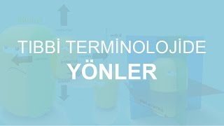 Anatomik Yönler EksenlerAnimasyonlu Anlatım [upl. by Yr124]