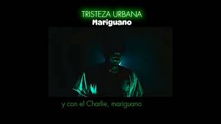 Tristeza Urbana  Marihuano rock rocknacional discosdenver [upl. by Edyaw]