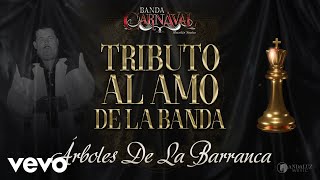 Banda Carnaval  Árboles De La Barranca Audio [upl. by Willetta]