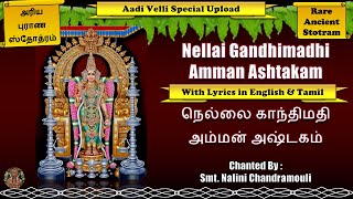 Nellai Gandhimathi Amman Ashtakam  நெல்லை காந்திமதி அம்மன் அஷ்டகம் aadivelli [upl. by Auburta868]