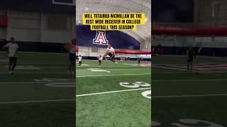 WILL TETAIROA MCMILLAN BE THE BEST WIDE RECEIVER IN COLLEGE FOOTBALL THIS SEASON [upl. by Alorac242]