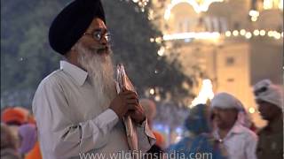 Sikh devotees paying obeisance at the Golden Temple [upl. by Cai]