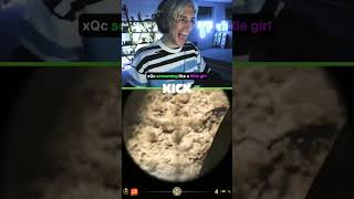 xQc screams like a girl while playing CS2 [upl. by Kcirdde]