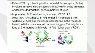 Broadly Neutralizing Antibodies against HIV [upl. by Eizdnil]