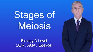 A Level Biology Revision quotStages of Meiosisquot [upl. by Chute]