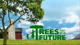 Trees For The Future Animation [upl. by Giacopo31]