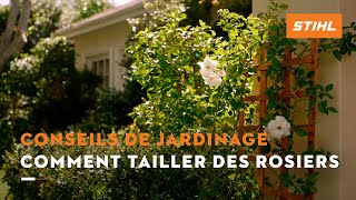 Comment tailler des rosiers   Conseils de jardinage STIHL [upl. by Earissed118]