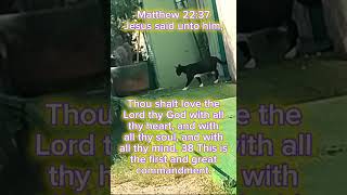 Matthew 2237 [upl. by Myles913]