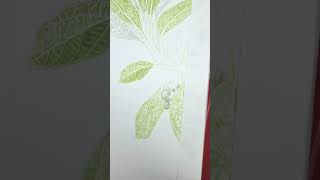 botanical art verbenaceae 51 botanicalart verbenaceae dailylog 보타닉아트 보타닉 예술 [upl. by Imogen]