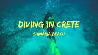 Diving in Crete Shinaria Beach [upl. by Crescint]