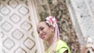 Fawn Sao Mai ฟ้อนสาวไหม Dance at the Colours of Thailand Festival 2014 [upl. by Gaskins406]