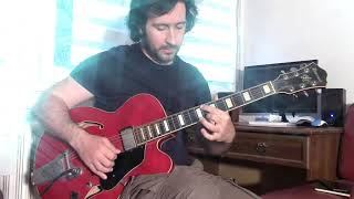 Squarepusher  Theme from Ernest Borgnine GUITAR COVER [upl. by Modnar]