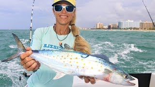 Deep Sea Fishing for SPANISH MACKEREL amp More [upl. by Modnar]