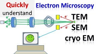 Electron microscope  TEM  SEM  Cryo EM [upl. by Tatianna]