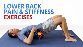 INSTANT RELIEF from Lower Back Pain and Stiffness 4 EASY Exercises [upl. by Eniortna526]