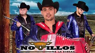 NOVILLOS DE LA SIERRA MIX PARA PISTEAR  Puros Corridos 🔥 25 Exitos Musica [upl. by Kamp]