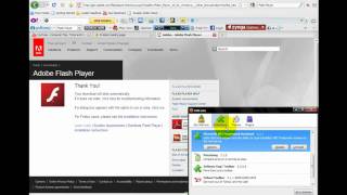 How to get Adobe Flash Player [upl. by Llertnov47]