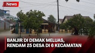 Terparah dalam 100 Tahun Banjir Demak Bukan Banjir Biasa  CNN Indonesia Indepth [upl. by Sylvie]