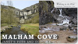 Yorkshire Dales Walks Janets Foss Gordale Scar and Malham Cove [upl. by Lovato270]