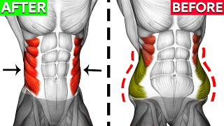 Dont Miss These 8 Perfect Oblique Exercises 🎯 [upl. by Otinauj]