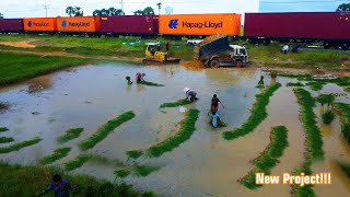 New Project  Dozer D31P amp Truck 5T pushing soil on flooded land [upl. by Orin219]