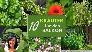 10 Kräuter Klassiker für den Balkon  die beliebtesten Kräuter für Töpfe und Balkonkästen [upl. by Marsden353]