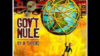 Govt Mule  Broke Down on the Brazos [upl. by Hinda]