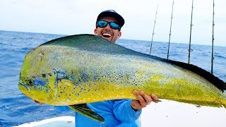 Monster Dolphin in the Florida Keys Catch N Cook  4K [upl. by Sille]