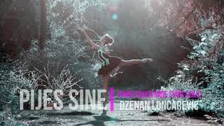 Pijes Sine  Dzenan Loncarevic  Piano Cover [upl. by Mota]