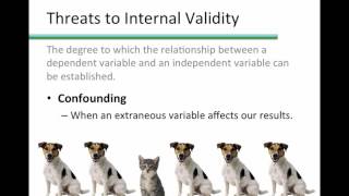 External and Internal Validity [upl. by Laux]