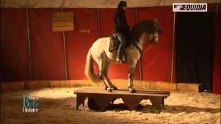 La belle histoire de Christophe et son cheval Unido  Equidia Life [upl. by Troxell]