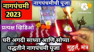 नागपंचमी 2023 नागपंचमी पूजा कशी करावी nagpanchamipuja 2023 [upl. by Ynnot248]