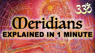 What are Meridians  Explained in 1 minute  01 [upl. by Amles]