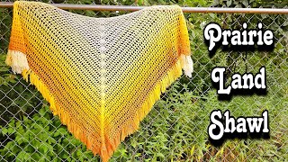 A Quick And Easy Crochet Shawl For The Beginner And The Advanced [upl. by Jaqitsch]