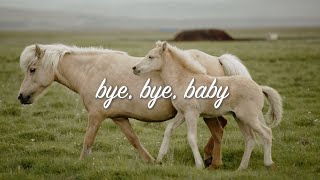 Zolita  Bye Bye Baby Official Lyric Video [upl. by Anaet182]