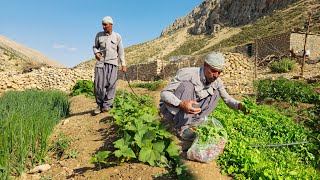 IRAN nomadic life  daily routine village life of Iran  Nomadic lifestyle of Iran [upl. by Nemsaj]