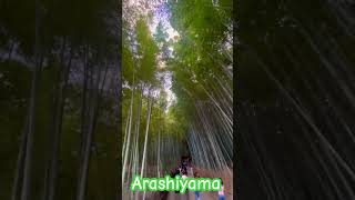 arashiyama everyone trending viralvideo kyoto [upl. by Chancey957]