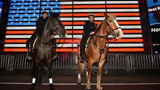 The 2018 NYPD Horse Calendar is Here [upl. by Einegue]