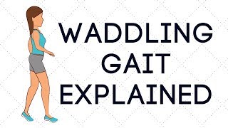 Waddling Gait Explained [upl. by Natrav]