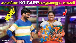 മാസങ്ങള്‍ക്കു ശേഷം KOI PONDലേക്ക് വെറൈറ്റി KOI CARPകളെ വാങ്ങി  UNBOXING MY NEW PET KOI FISH [upl. by Sukin256]