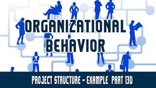 Organisational Structure  Project Structure  Example  Part 13D [upl. by Ahtanoj]