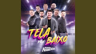 Tela Pra Baixo [upl. by Apollo215]