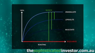 SiLeach® processing overview  Lithium Australia [upl. by Ialocin892]