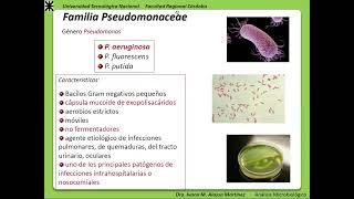 06 AM Clase Grupos Bacterianos 2022 [upl. by Sascha]