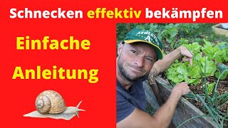 Schnecken effektiv bekämpfen 🐌  Einfache Anleitung100  👈 [upl. by Meredi185]