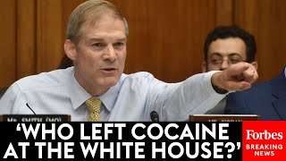 Jim Jordan Absolutely Goes Off On Biden [upl. by Welby]