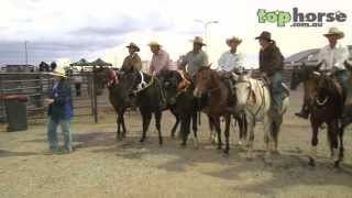 ASH National Show 2013  Maiden Campdraft [upl. by Nanek234]